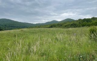 Super Oferta. Teren intravilan, Viisoara. - Poză 5