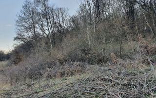 Teren 46.300 mp-zona Gușterița!! - Poză 8