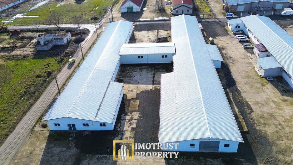 HALA INDUSTRIALA DE INCHIRIAT | PECICA – ARAD - Poză 7