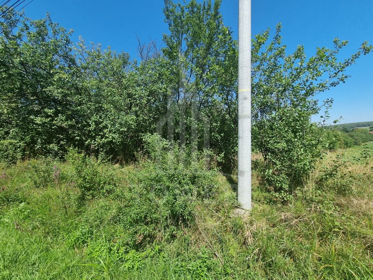 EXCLUSIVITATE! Teren la șoseaua principală | Tocile - Poză 5