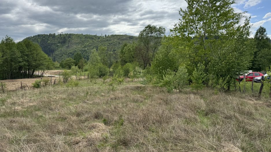 TEREN INTRAVILAN 6680 MP LERESTI ARGES - Poză 10