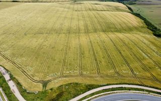 Teren la sosea Ortisoara - Autostrada A1 - Poză 21