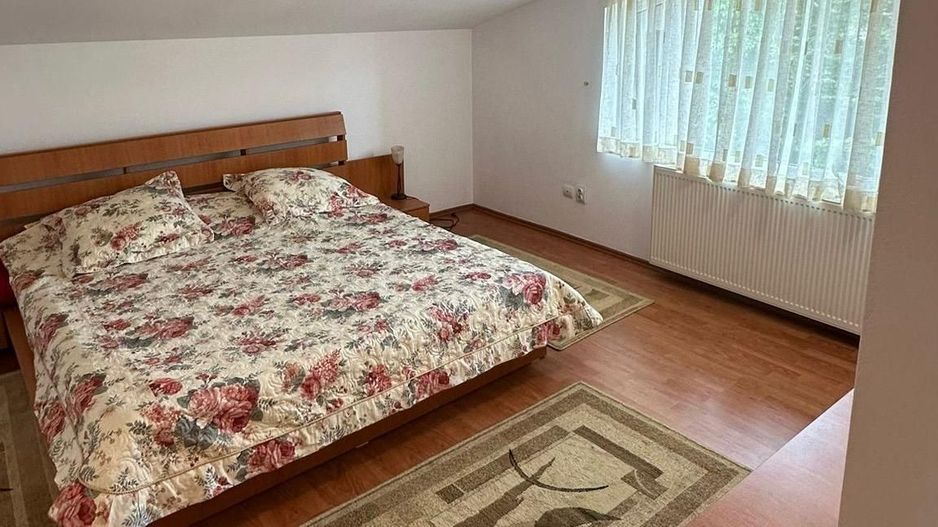Vila I Iancu Nicolae I Gradina zoologica - Poză 6