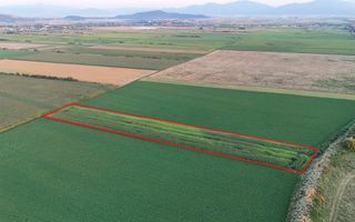 Teren extravilan, 8700 mp, pretabil agricultură sau investiție - Bod - Poză 1