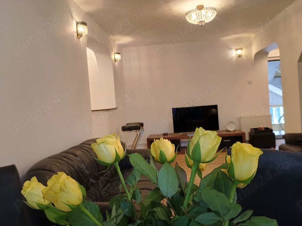 VILA LUX | CURTE SPATIOASA | PRIMAVERII - Poză 6