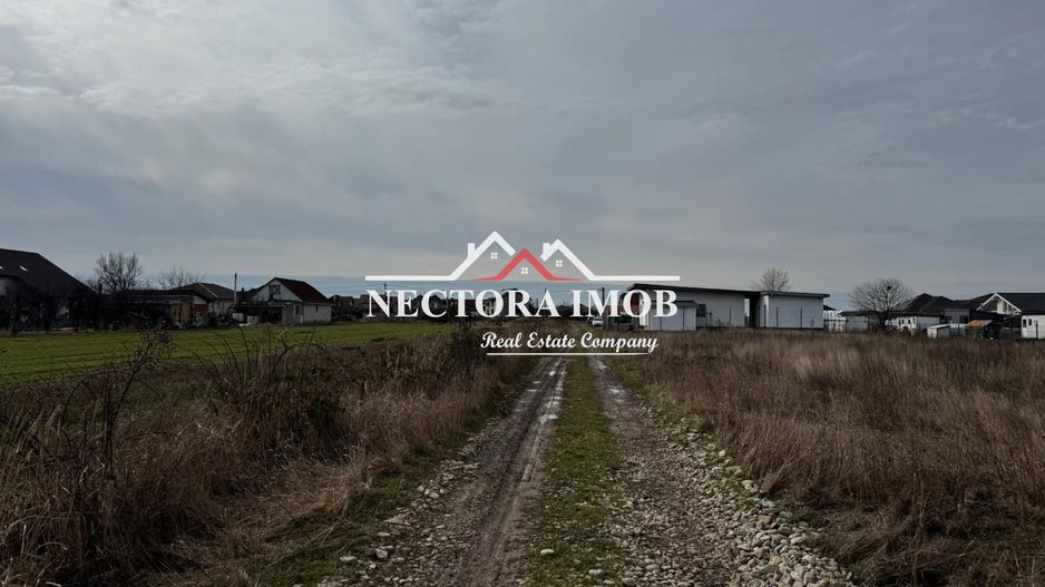 NECTORA IMOB-Teren Intravilan Zona Cihei,512 mp, Utilitati,Str.Privata - Poză 3