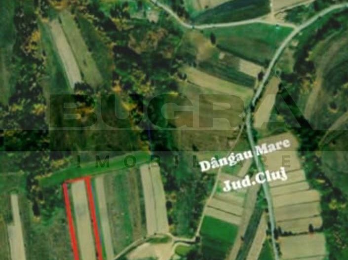 Teren extravilan, 4265 mp, zona Dangau Mare - Poză 1