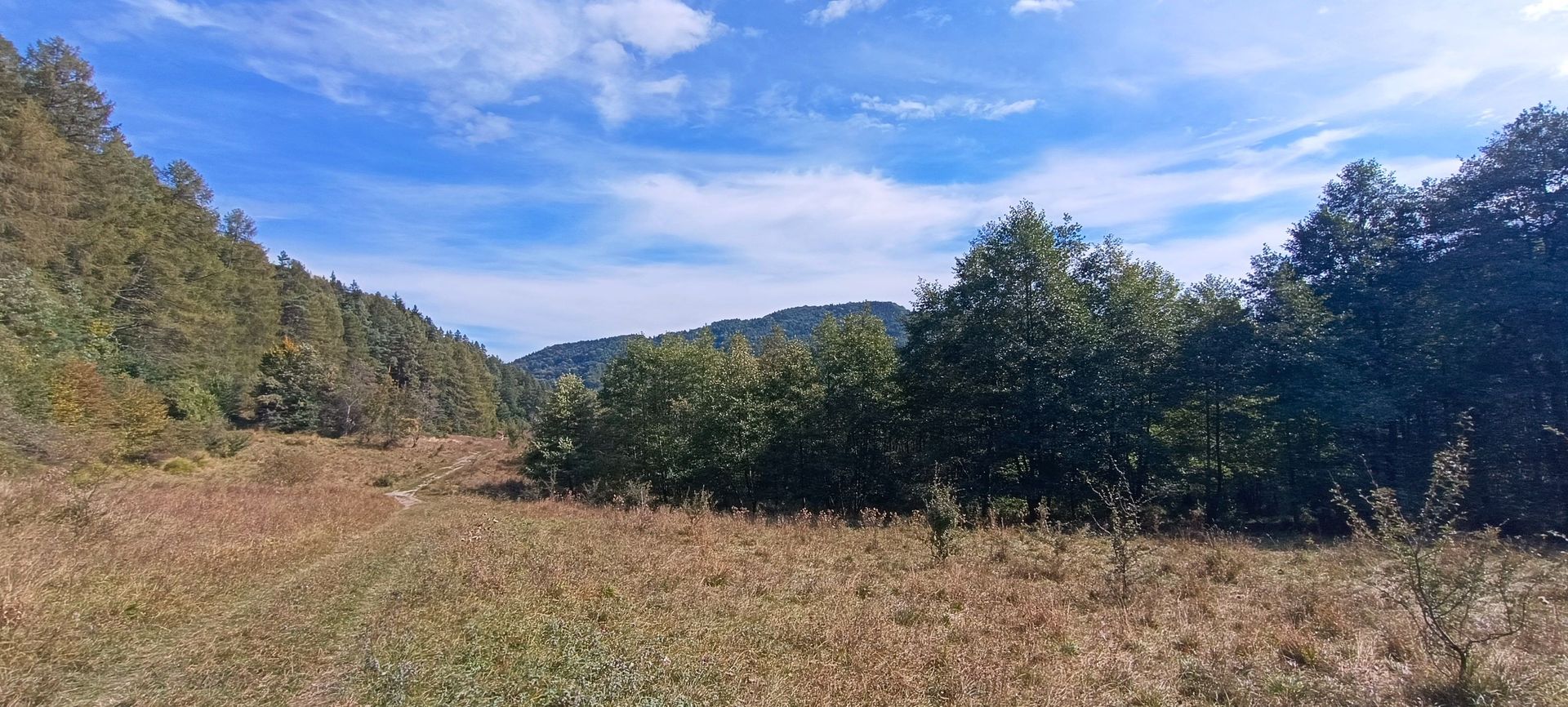 teren in zona Bradet-Sacele - Poză 9