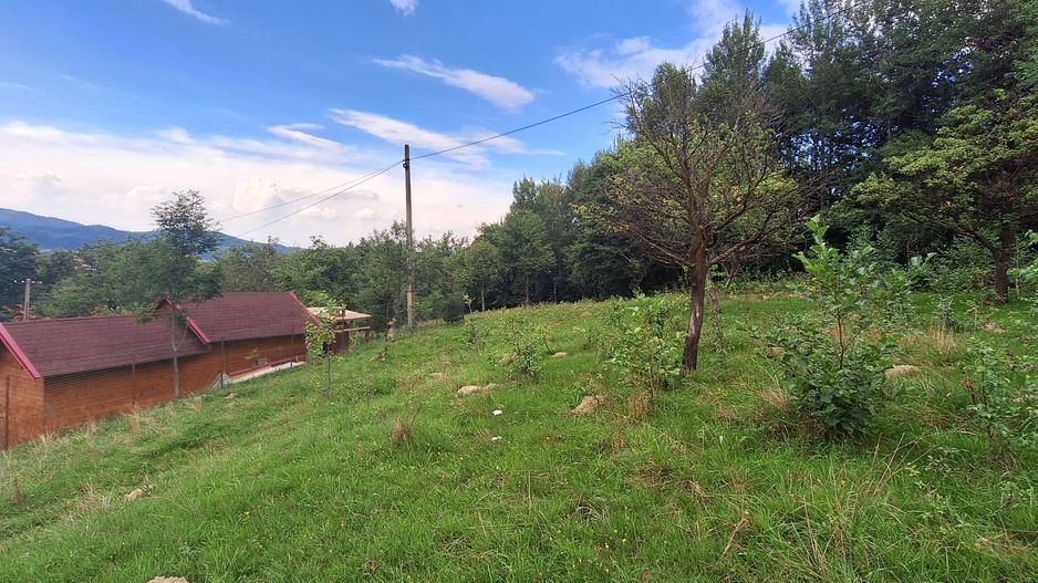 Bran-Predelut doua parcele de 2000+3000mp pret 25 euro/mp - Poză 10