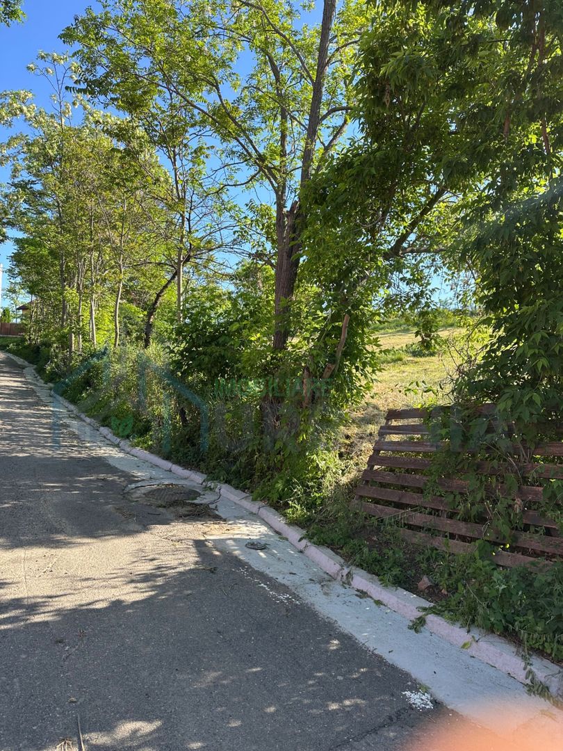 Teren intravilan Tiganasi, 1000 mp, deschidere 28 m la drum - Poză 4