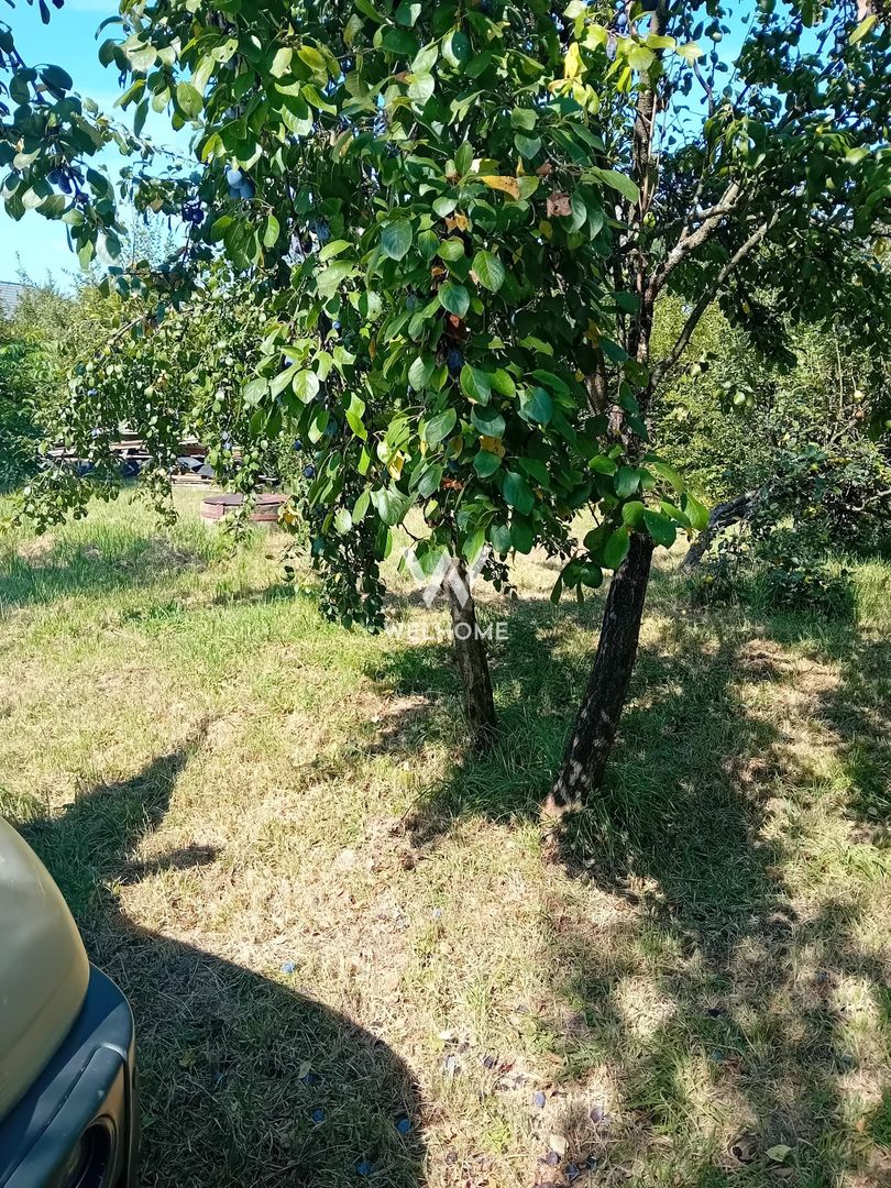 974 mp de vis, între pădure și cer - Teren intravilan, Cisnadioara, Sibiu - Poză 3