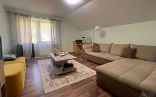 Vilă P+M cu teren de 4.200 mp + Garaj - Onești - Poză 27