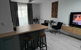 2 Camere Premium, Ego Residence, Corneliu Coposu, Parcare, Lombului - Poză 6