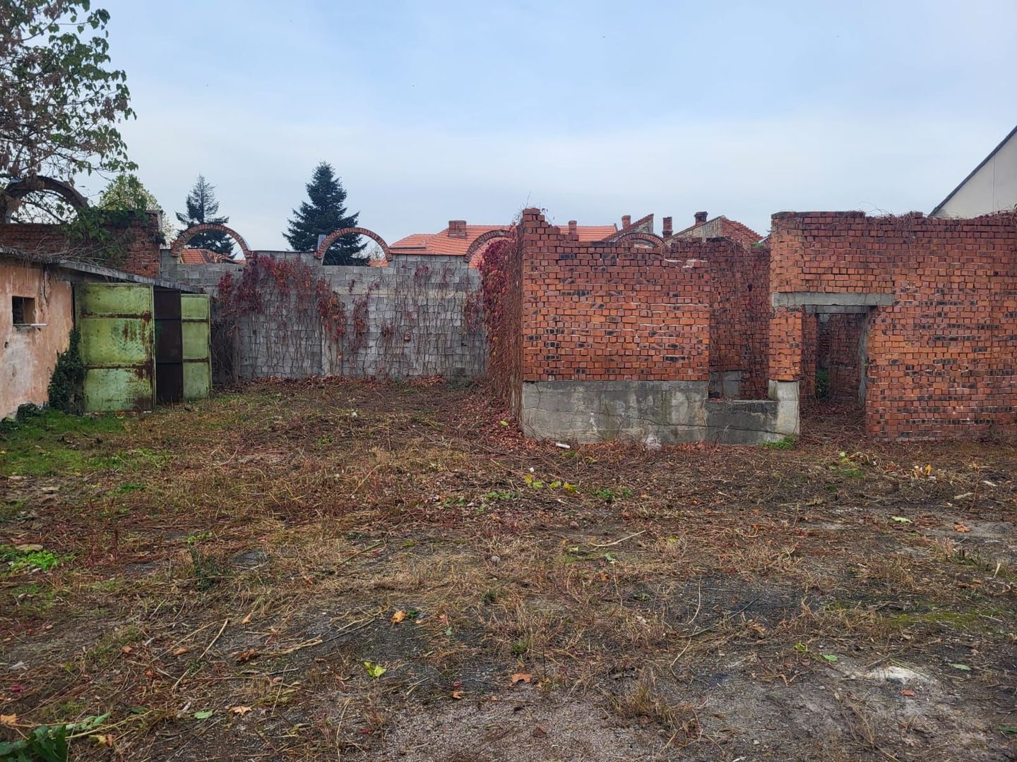 Teren Lugoj - Poză 5