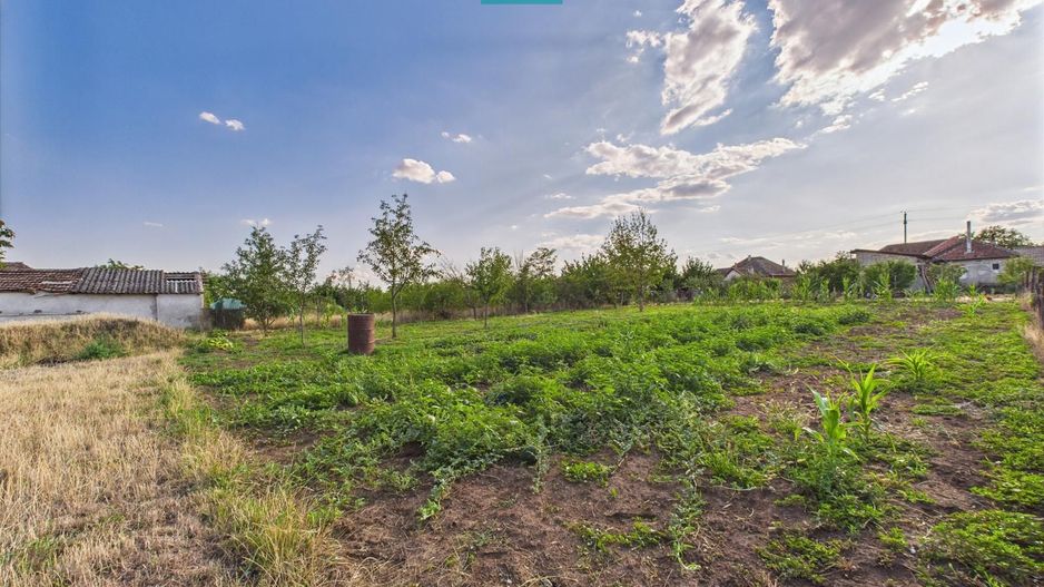 Teren intravilan 1.069 mp în Macea, jud. Arad - Poză 7