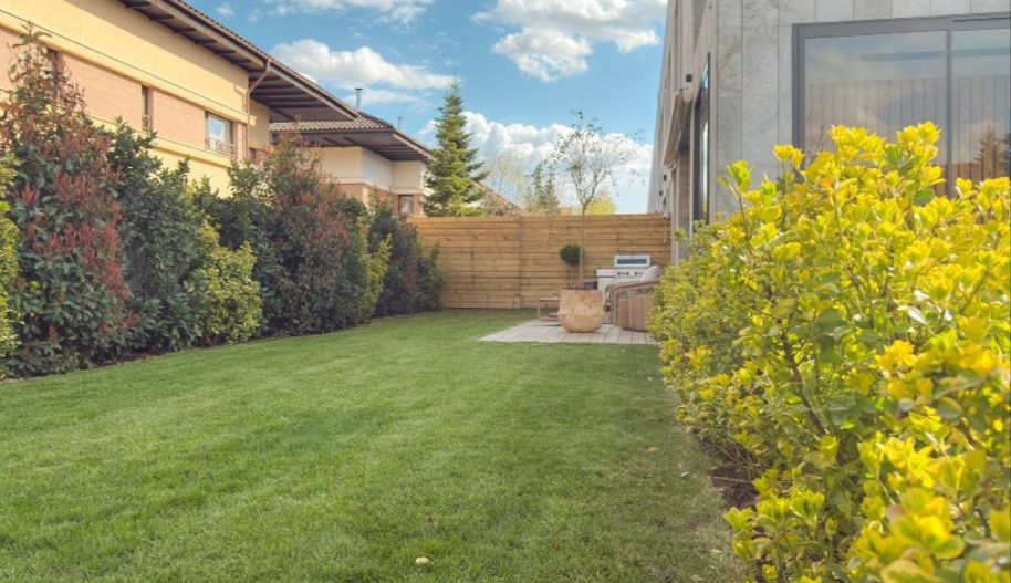 Localizare premium – Pipera (zona Iancu Nicolae - Poză 2