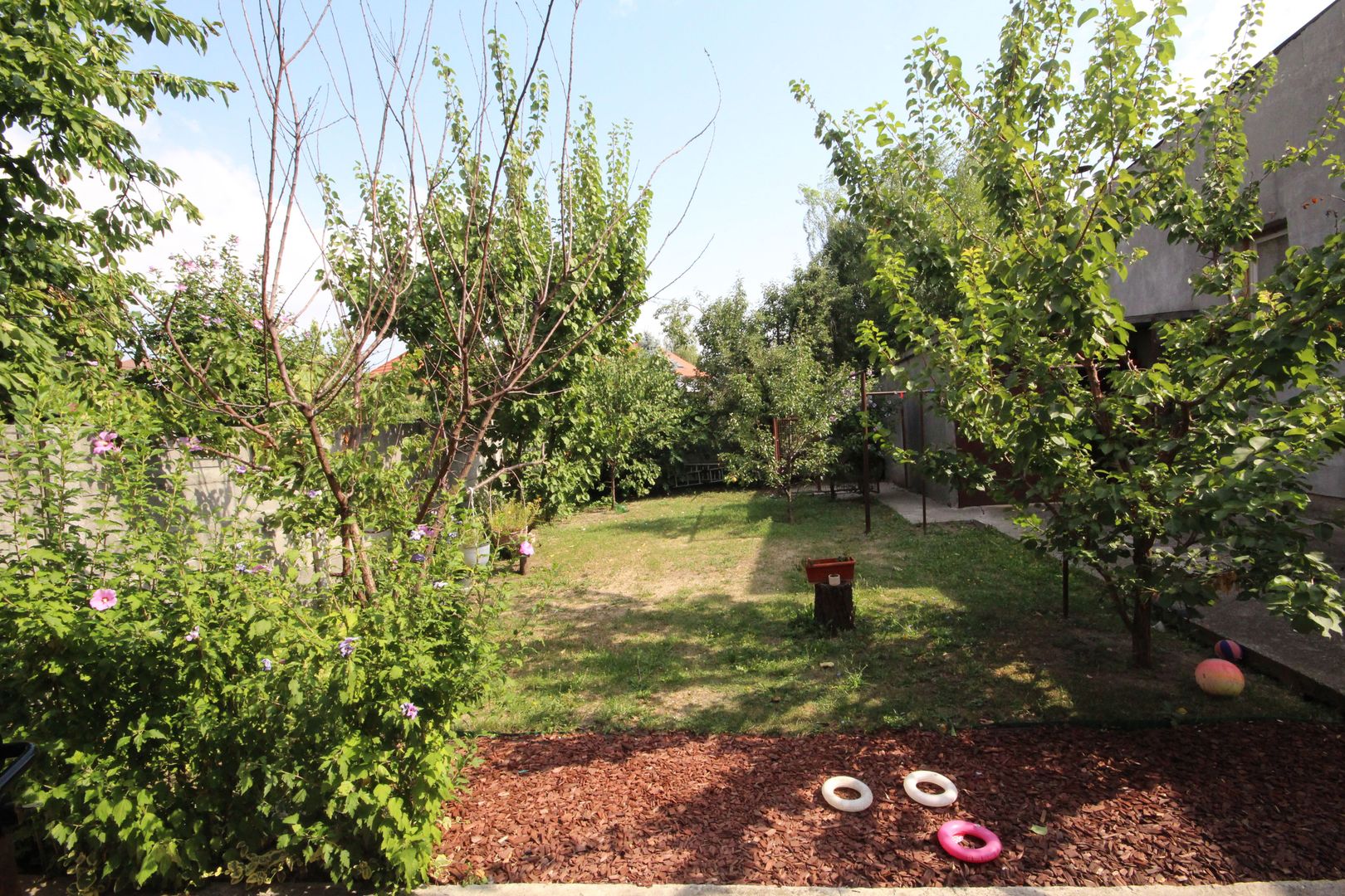 Ideala ptr o familie sau diferite activitati - Poză 35