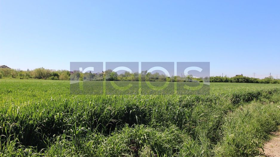 Teren 32000 mp Racari deschidere 82 mp - Poză 9