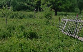 Teren Salatrucel | 8300 m | 12 euro/ metru | Intravilan si extravilan | - Poză 4