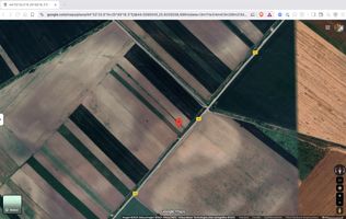 Teren extravilan 10.000 mp Tartasesti Dambovita