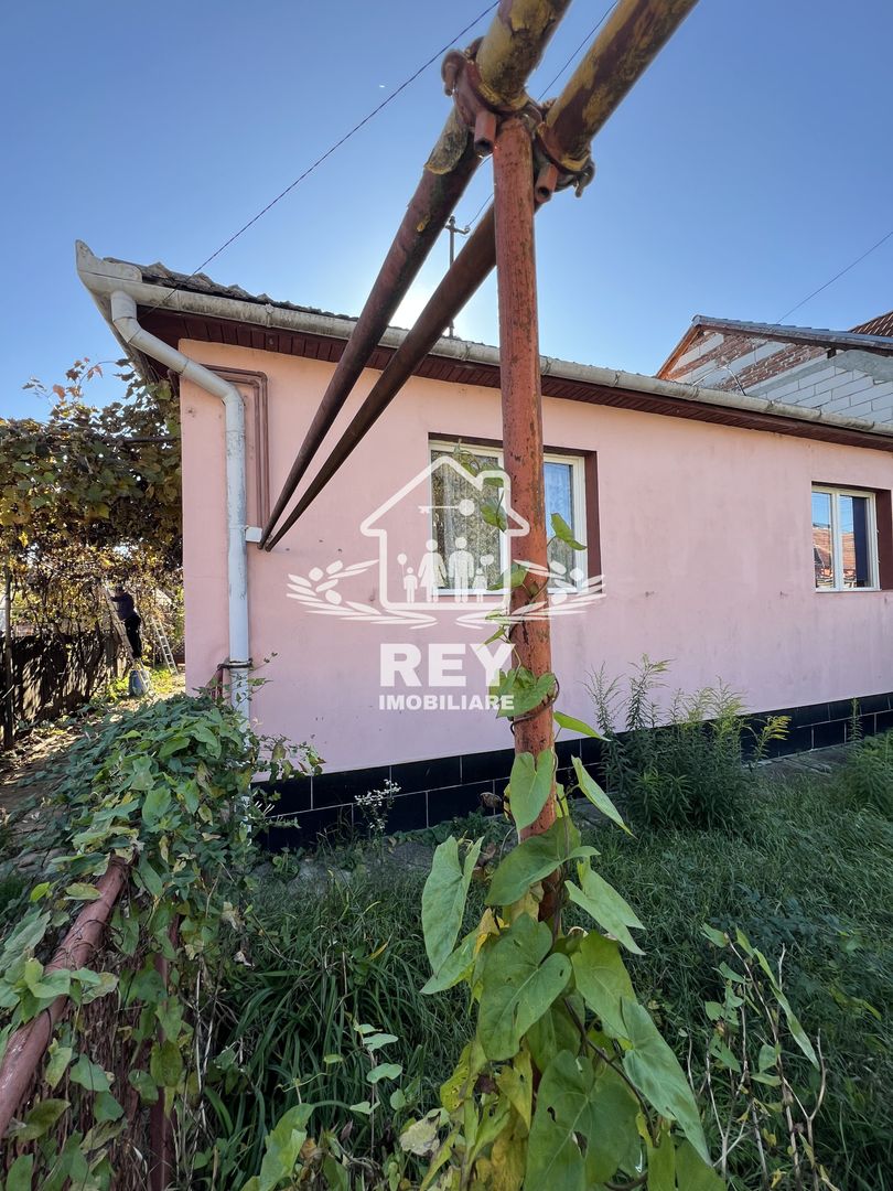 Casă 3 camere cu teren 468 mp zona Străzii Record/Terezian - Poză 37