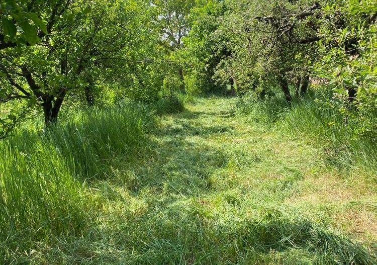 BRASADAS vinde casa cu 3 cam teren 17 ari zona Titulescu. - Poză 6