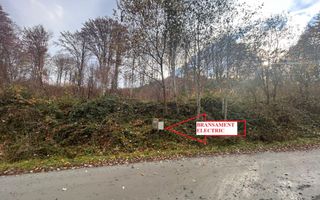 Oportunitate de investiție – Teren pentru hotel / pensiune pe Valea Avrigului - Poză 2