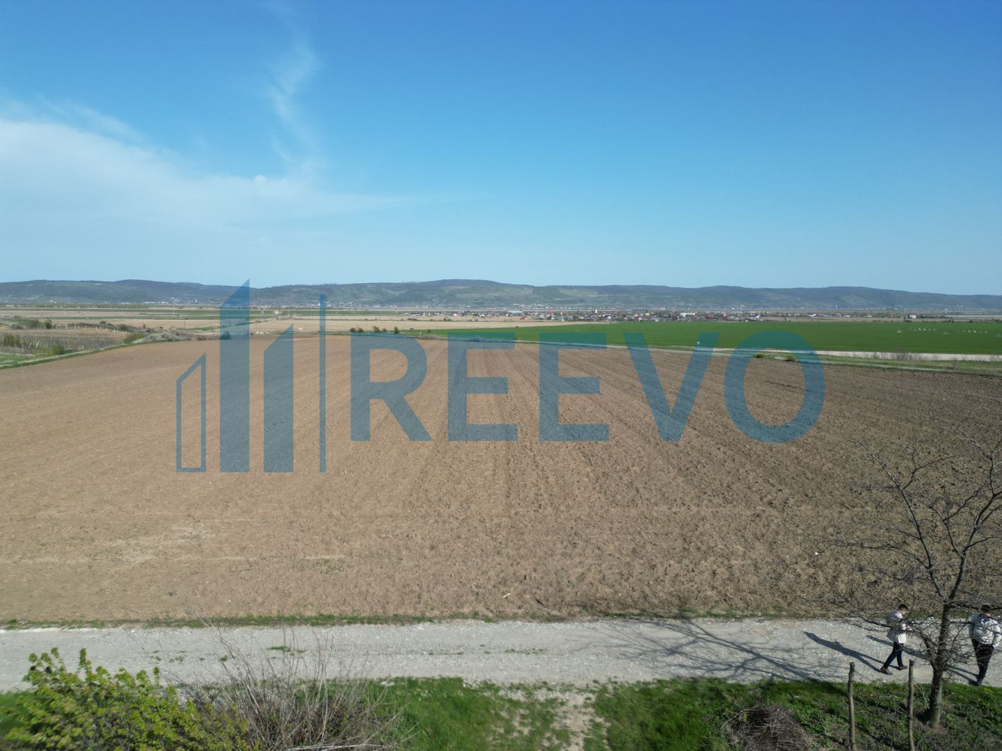 Teren de vânzare, Com. Nicolae Bălcescu, Jud. Bacău - Poză 3