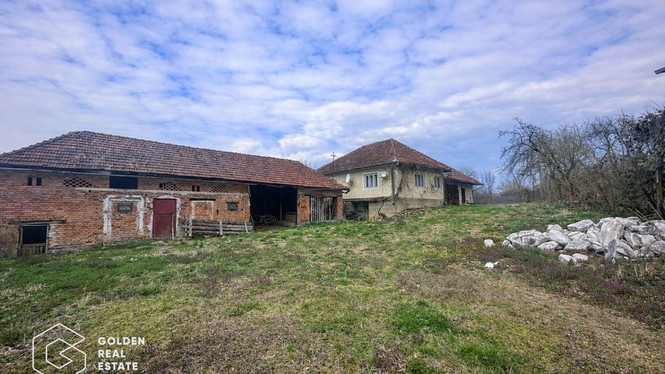 Casă cu teren generos 1.944 mp, Măgulicea, Vârfurile - Poză 2