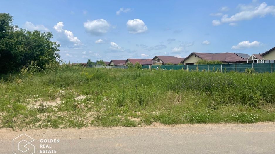 Teren intravilan, Balotești, Strada Cameliei 36, 10.000 mp - Poză 4