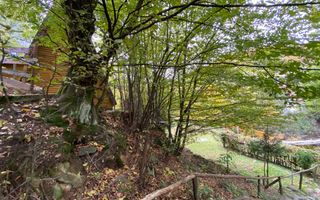 Casa de vacanta, in zona linistita, Firiza - Poză 18