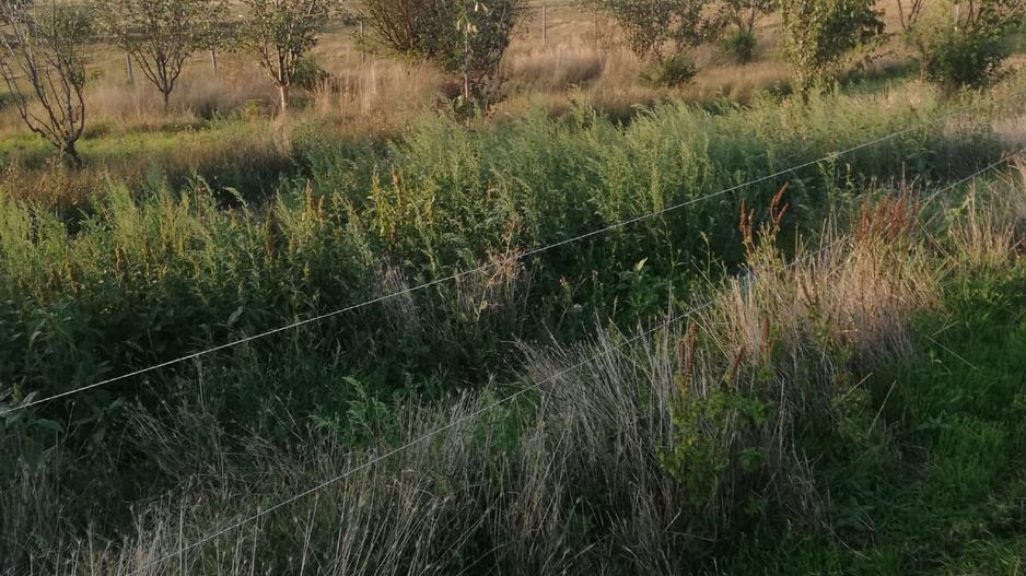 Ferma de vânzare - Poză 8