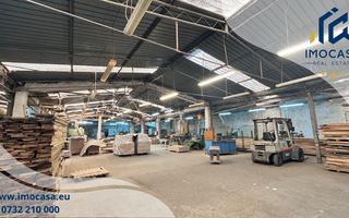 Hala industriala, depozitare vanzare,inchiriere Seitin Arad 10 km vamă - Poză 10