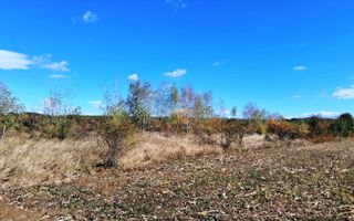 TEREN INTRAVILAN ȘI EXTRAVILAN BAIA DE FIER - Poză 7