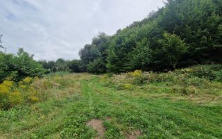 Teren Intravilan de vanzare Bistrita | 795 mp, priveliște panoramică - Poză 15