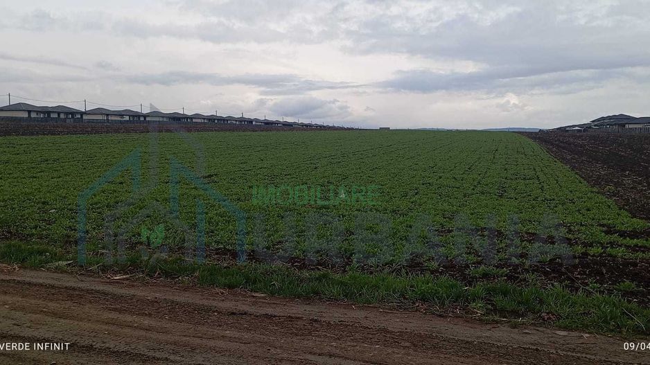 Teren Intravilan Vorovesti, 1 ha, deschidere la DJ 248A - Poză 4