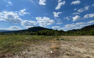 TEREN INTRAVILAN 2,26 HA | SUCEVITA | - Poză 4