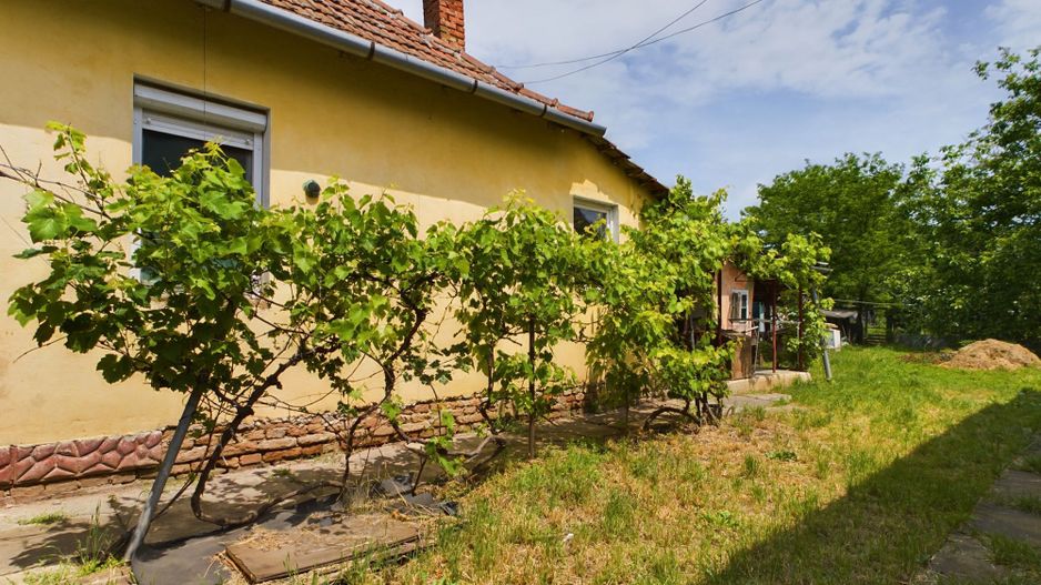 Casă cu teren generos la graniță cu România - Poză 8