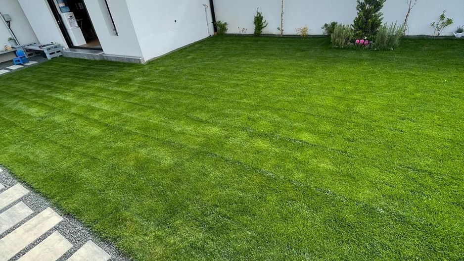 Proiect Modern in Dumbravita - Poză 44