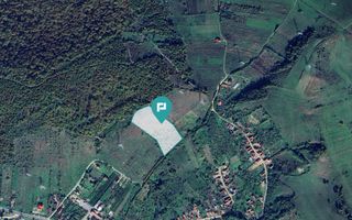 Teren fâneaţă lângă pădure - Hunedoara - Poză 1