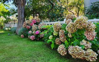 BIJUTERIE ISTORICĂ  SI RAR DE VANZARE in zona ARMENEASCA - Poză 3