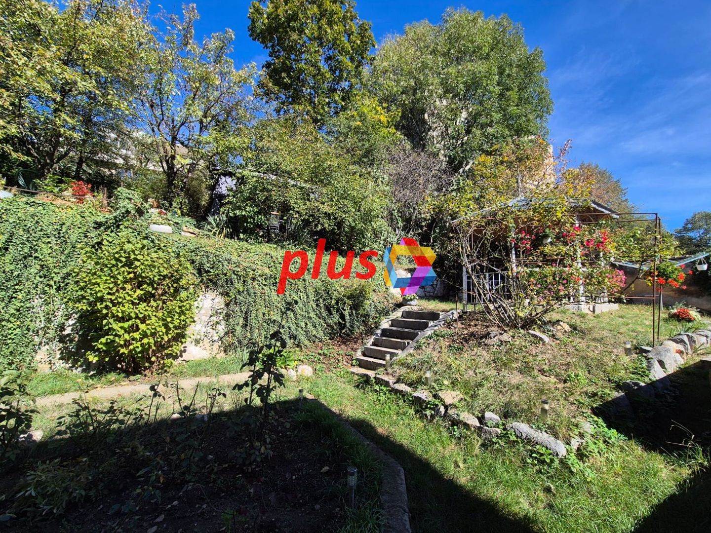 Spatiu birouri de închiriat Brasov - 80 mp # plus-imo.ro - Poză 12