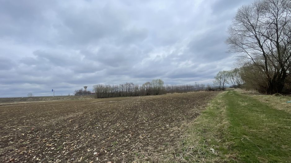 TEREN INTRAVILAN | 50 ARI | ZONA PERIFERICA RADAUTI - Poză 5