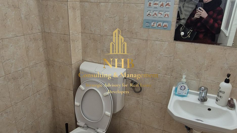Spațiu Comercial de Vânzare în Domenii – 14 Camere, 351 mp Teren - Poză 7