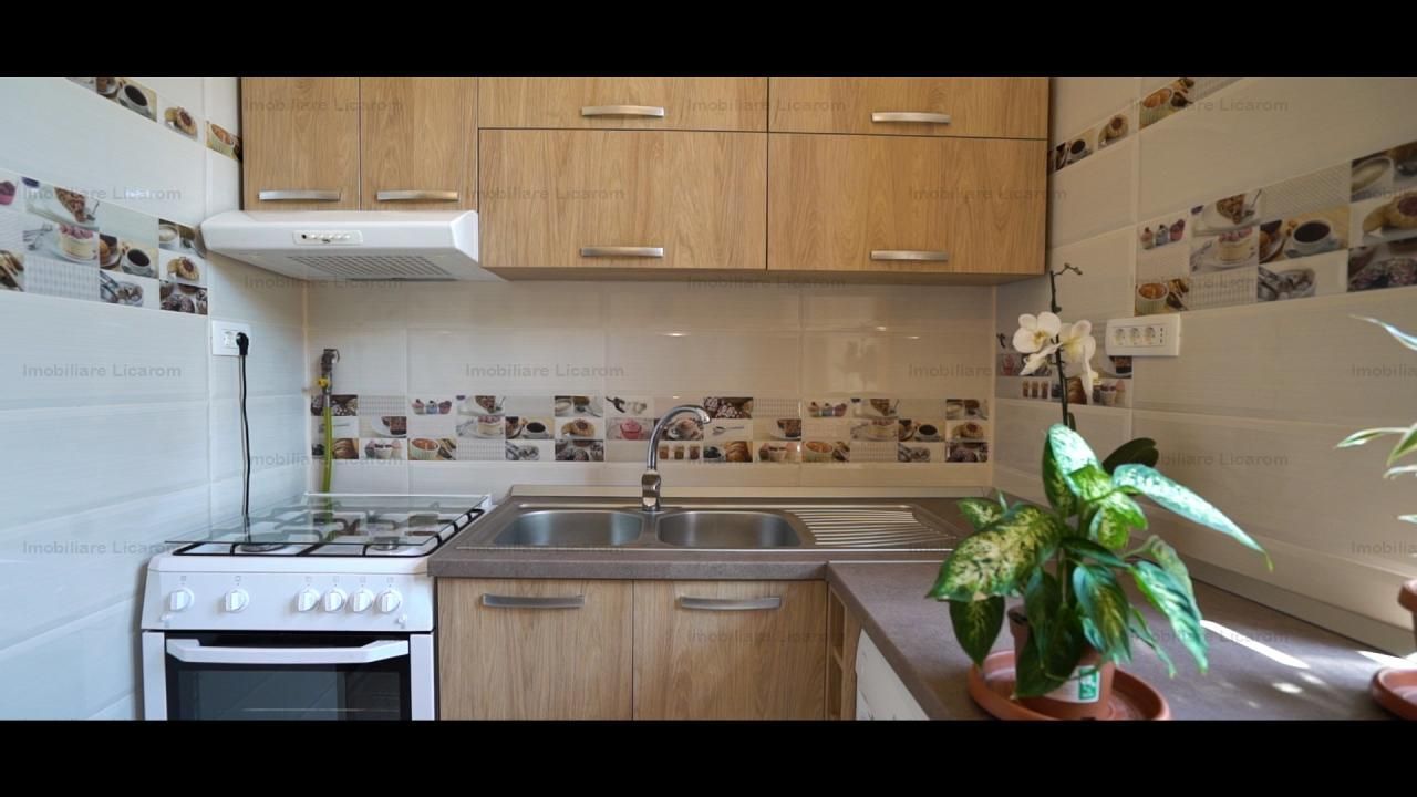 Oferta Conac boieresc P+M,teren 20400 mp - Poză 8