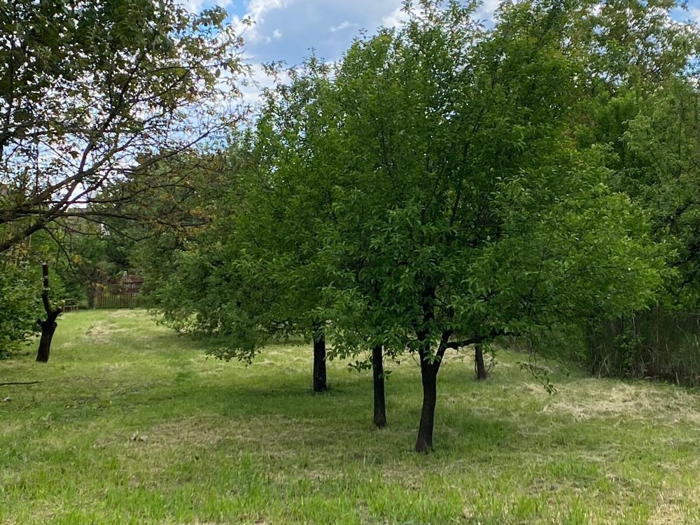 BRASADAS vinde casa cu 3 cam teren 17 ari zona Titulescu. - Poză 5