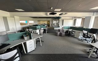 Hala de productie in Calea Sagului - Poză 27