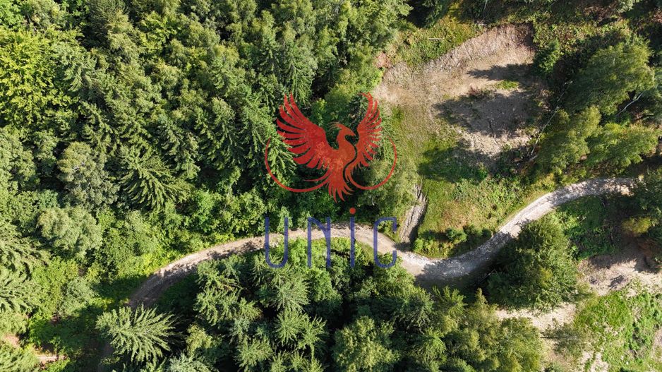 18000 mp de natura pura ,Lupeni, langa Straja - Poză 29