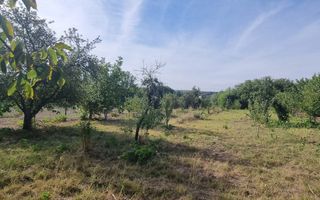 Teren 2000 mp de vânzare – Comana, deschidere la lac, aproape de Parcu - Poză 3