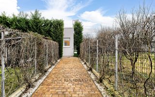 Dumbravita Casa Individuala pe Parter | 4 Camere 3 Bai | Mediteranean - Poză 15